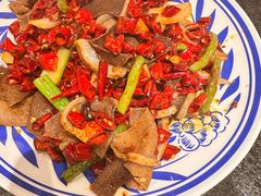 -福苗小骆驼烧烤(莲湖路店)