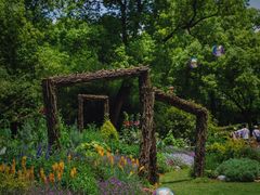 -上海共青森林公园