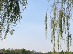 -济南大明湖景区
