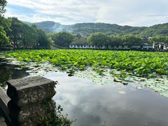 -原製原味(普陀山磐龙店)