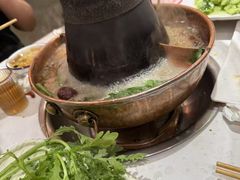 -老蜀铜火锅·酸菜脊骨·麻辣羊蝎子(热闹路店)