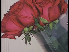 -星巴克(秦皇岛乐都汇店)