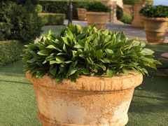 -大堂吧·下午茶·特调鸡尾酒(大连一方城堡豪华精选酒店)