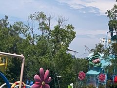 -苏州乐园森林水世界