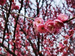 -洋湖国家湿地公园