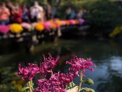 -杭州植物园