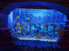 -太平洋海底世界