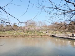 -上海海湾国家森林公园