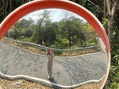 -广州白江湖森林公园