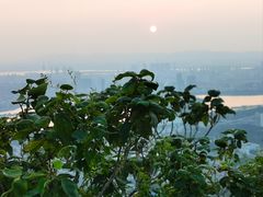 -紫金山山顶公园