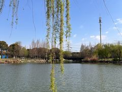 -九里河湿地公园