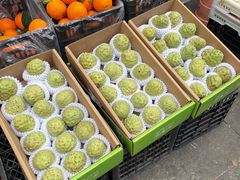 -城南综合水果批发市场(花园路店)