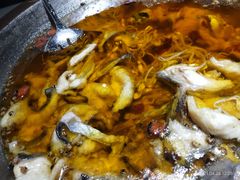 -雲蜀龙阁·金牌水煮鱼(方庄店)