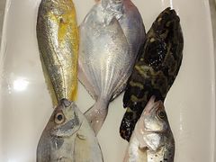 -舌尖上·霞浦滩涂海鲜·新闽菜(总店)