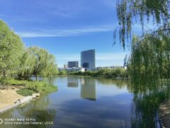 -大兴滨河森林公园