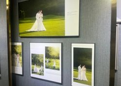 -鱼映像摄影·珍藏级影像品牌