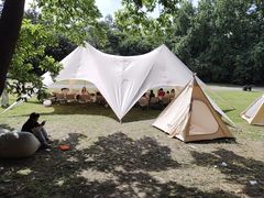 -上海共青森林公园