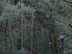 -之江大学-旧址