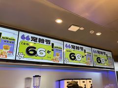 -TD66高山铁皮石斛养生茶饮