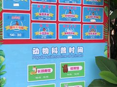 -灵玲国际马戏城