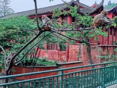 -黔灵山公园