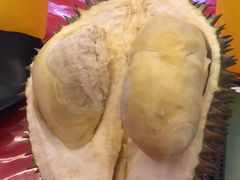 -都念榴莲·城市榴莲