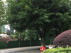 -重庆彩云湖湿地公园