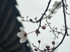 -重庆园博园
