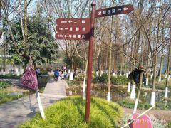 -重庆彩云湖湿地公园