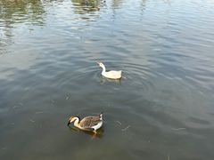 -溱湖国家湿地公园