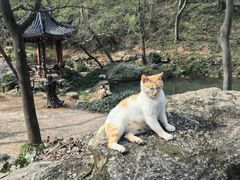 -句容茅山景区