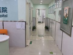 -佳雯宠物医院(金华南路分院)