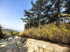 -北京西山国家森林公园