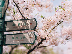 -青岛中山公园-索道售票处
