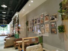 -藏猫猫咖啡主题馆(中央大道店)