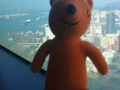 -高雄85大楼-观景台