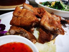 -鲤鱼塘农家山庄