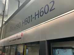 -上海浦东国际机场-T2航站楼