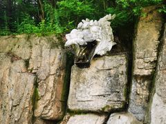 -五女峰国家森林公园