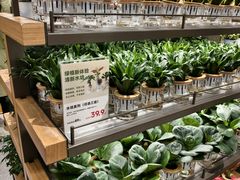 -鹿岛生活(熙地港店)
