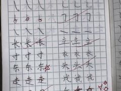 -赵汝飞练字硬笔书法(三林浦三路校区)