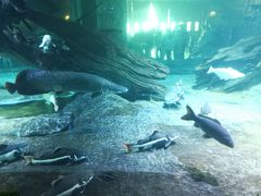 -华夏文旅海洋公园