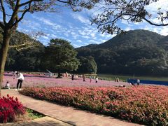 -广州市石门国家森林公园