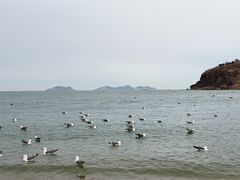 -棒棰岛宾馆景区