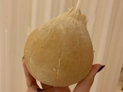 牛奶椰-三亚新鸿港水果一级批发市场