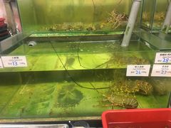 -ZF Seafood Restaurant 卓峰海鲜餐