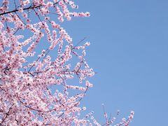 -颐和园