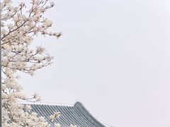 -颐和园