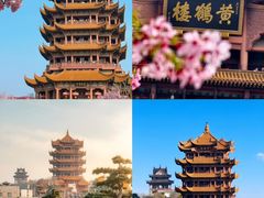 -大圣甲(汉口店)