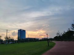 -春花秋色城市公园